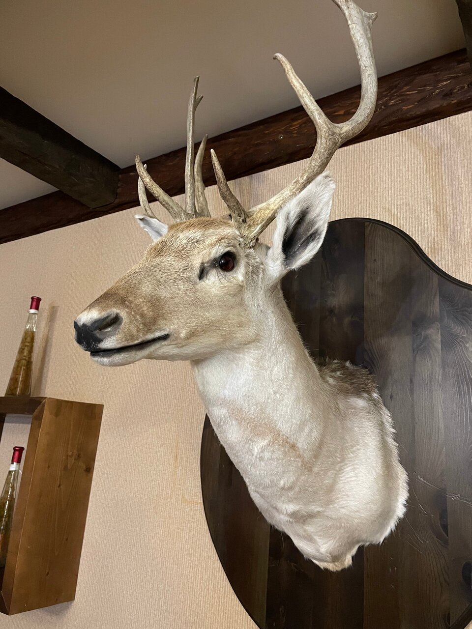 Отель Александровский Темрюк-12