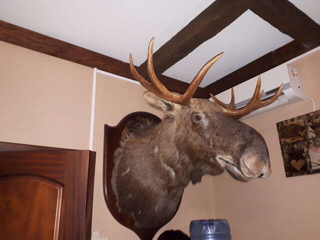 Отель Александровский Темрюк-54